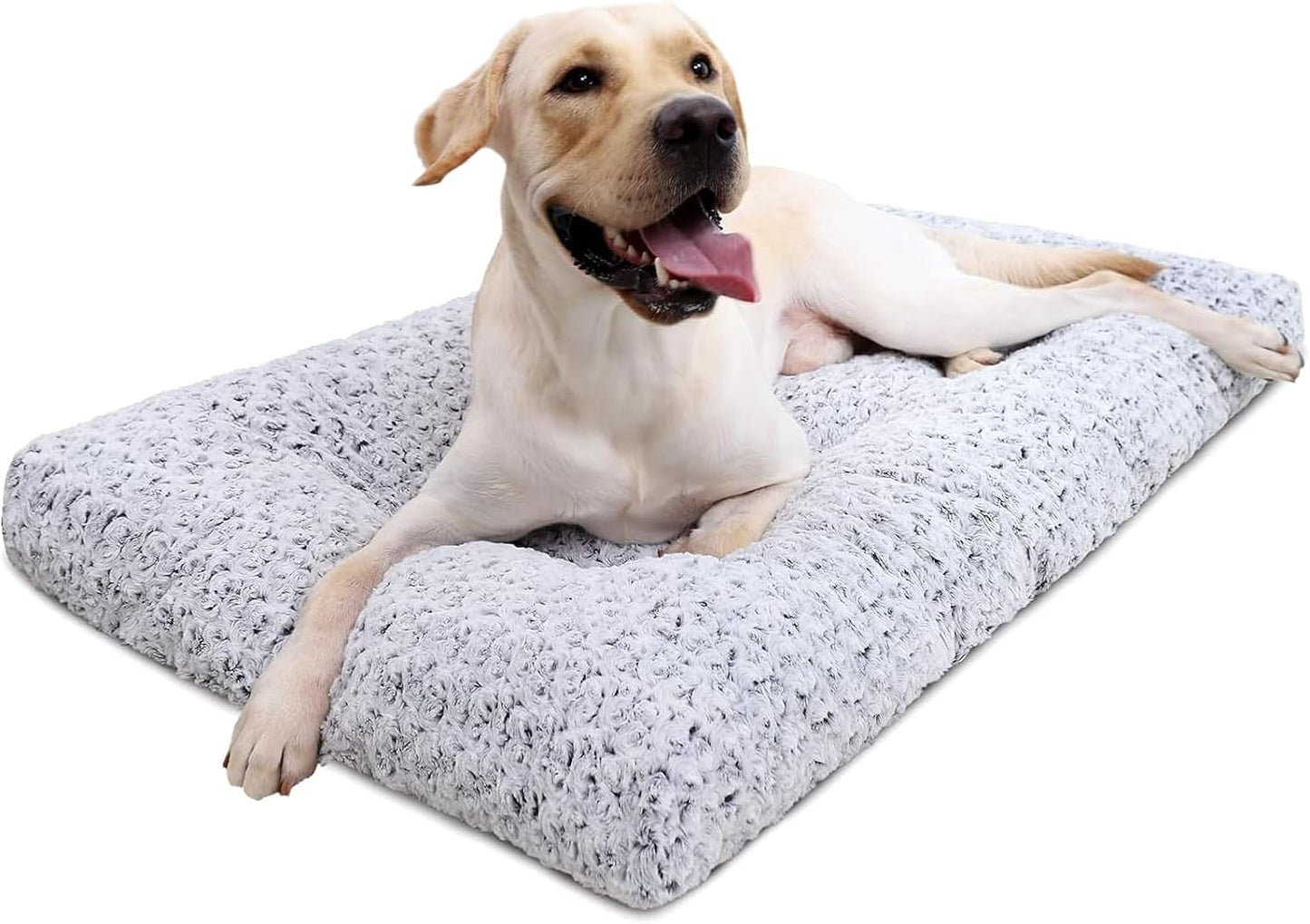 Cama Lavável para Cães - Conforto e Antiderrapante para Todos os Tamanhos