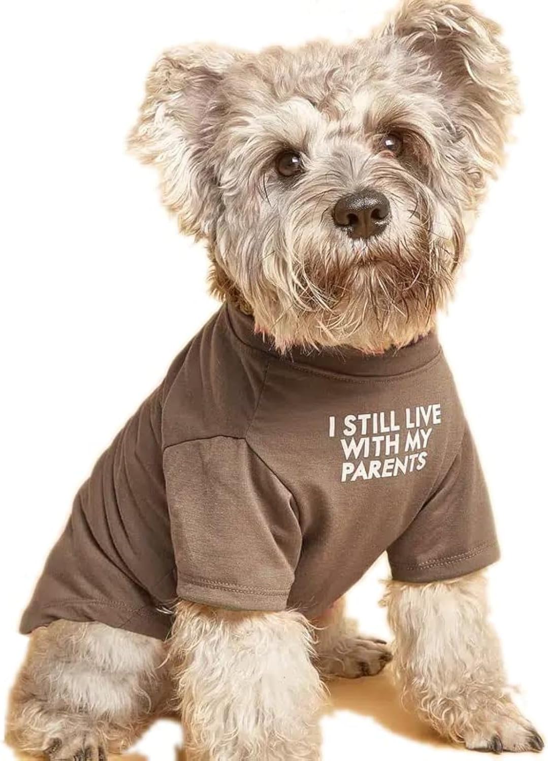 Camiseta Confortável e Estilosa para Cães e Gatos - Roupa Suave e Respirável para Animais