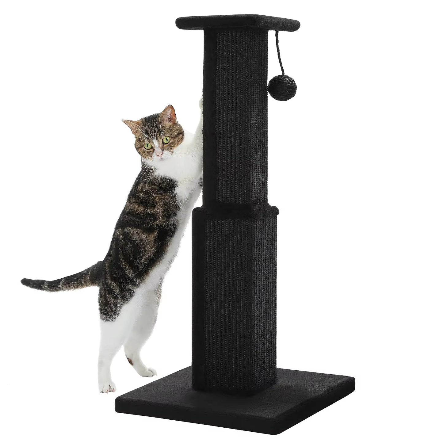 Torre Arranhadora para Gatos: Conforto e Entretenimento