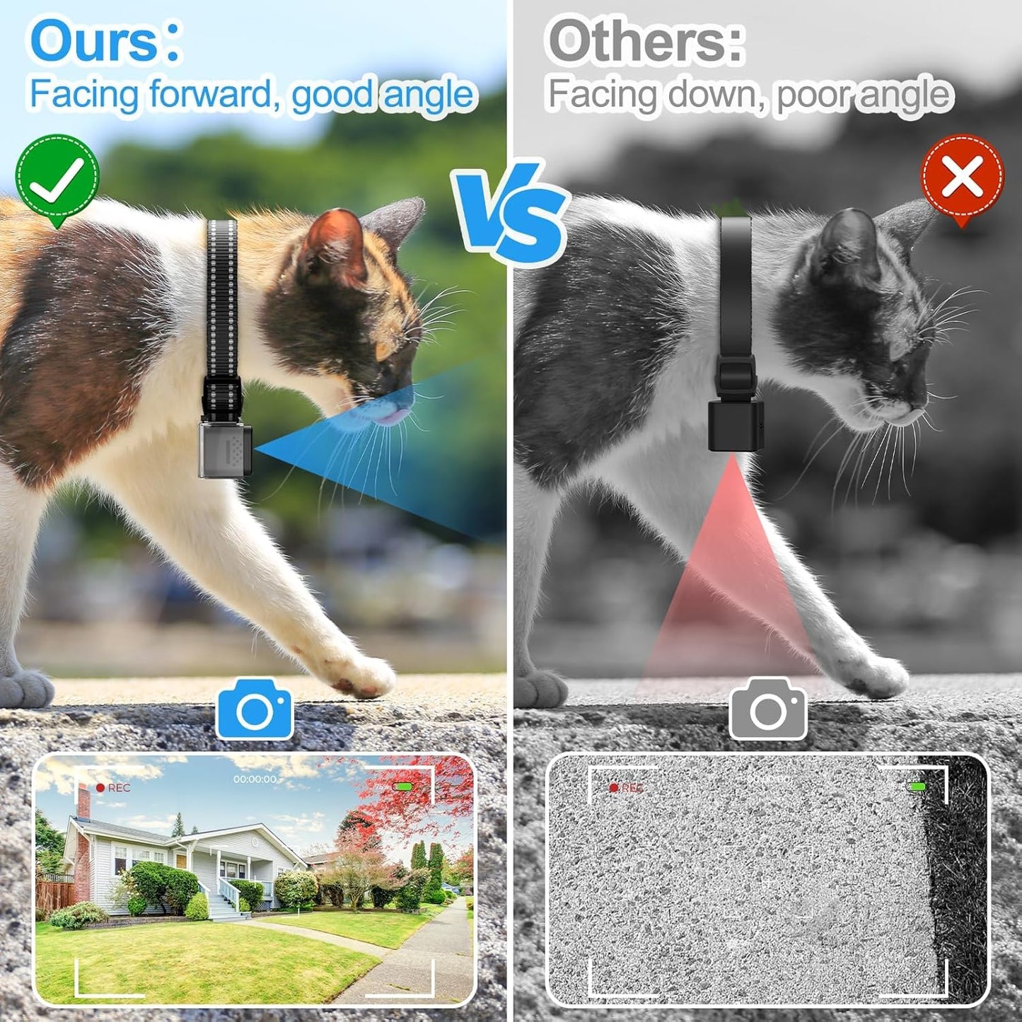 Câmera de Collares para Gatos: Gravação Sem Wi-Fi e App