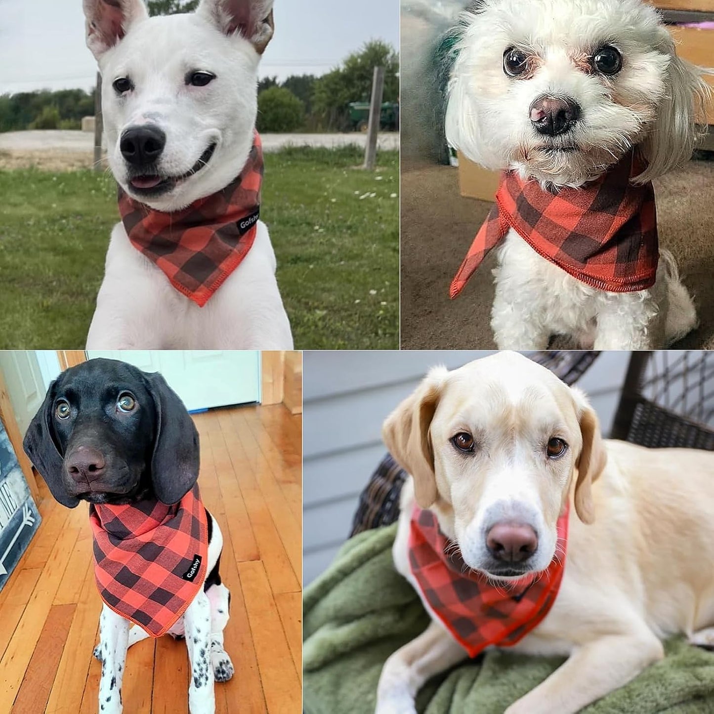 Bandana Ajustável para Cachorros - Estampa Colorida e Vibrante