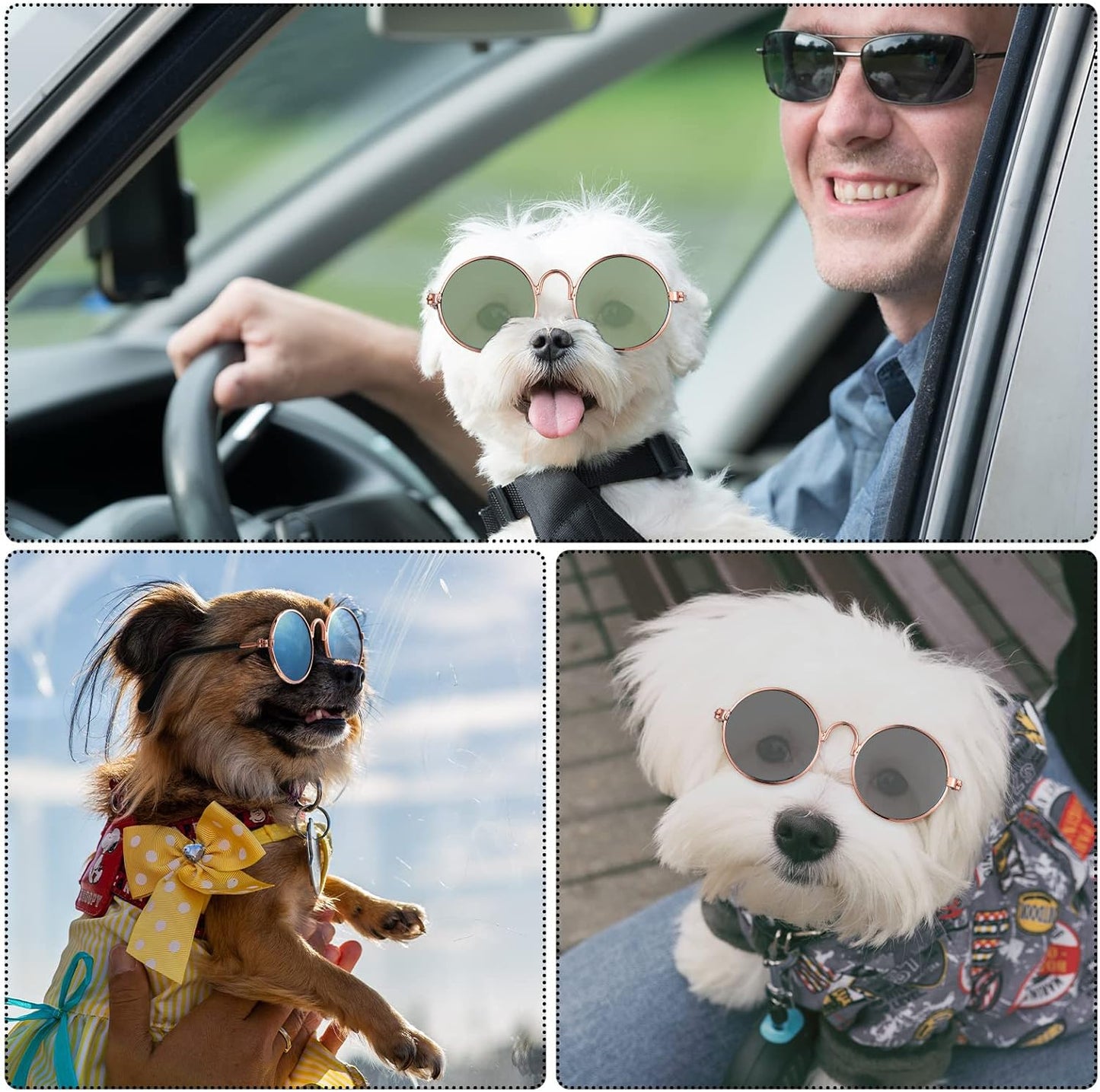 Conjunto Divertido para Pets: Acessórios com Óculos de Sol e Chapéu de Verão