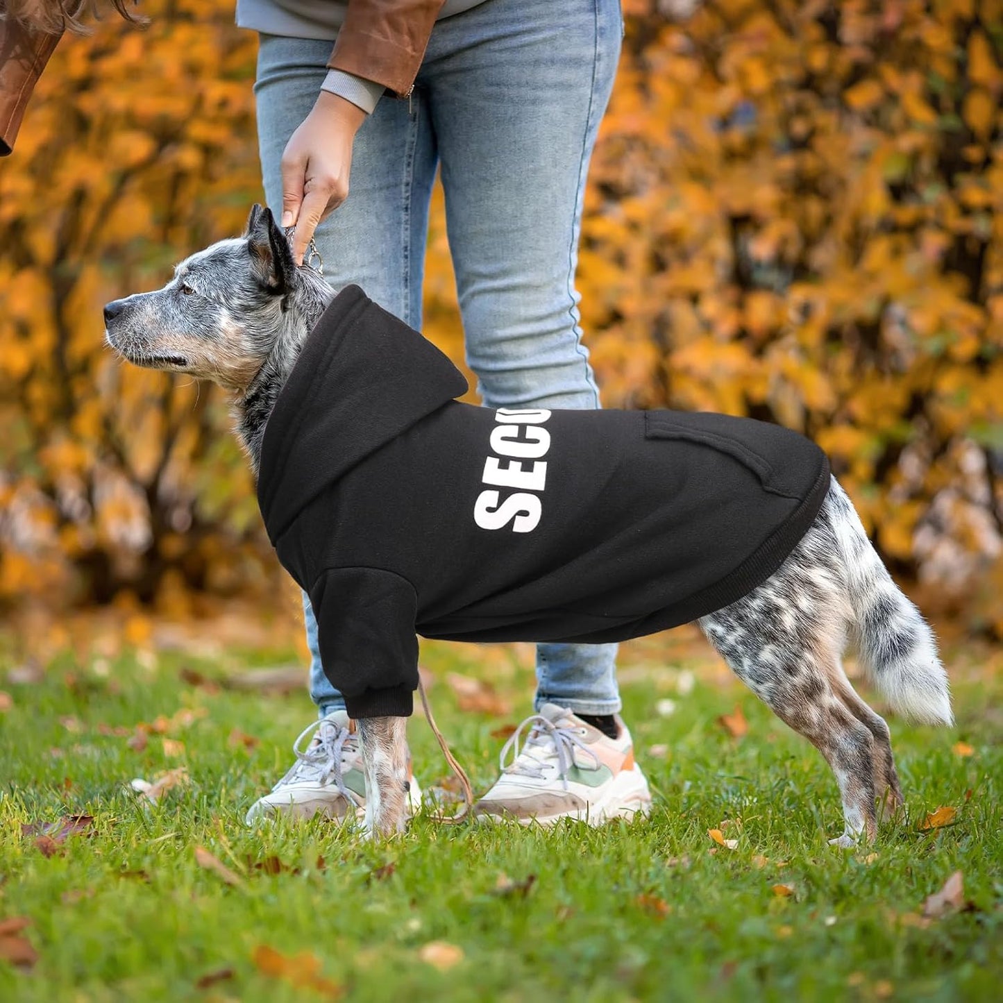 Suéter para cães grandes com capuz e bolso - Confortável e quente