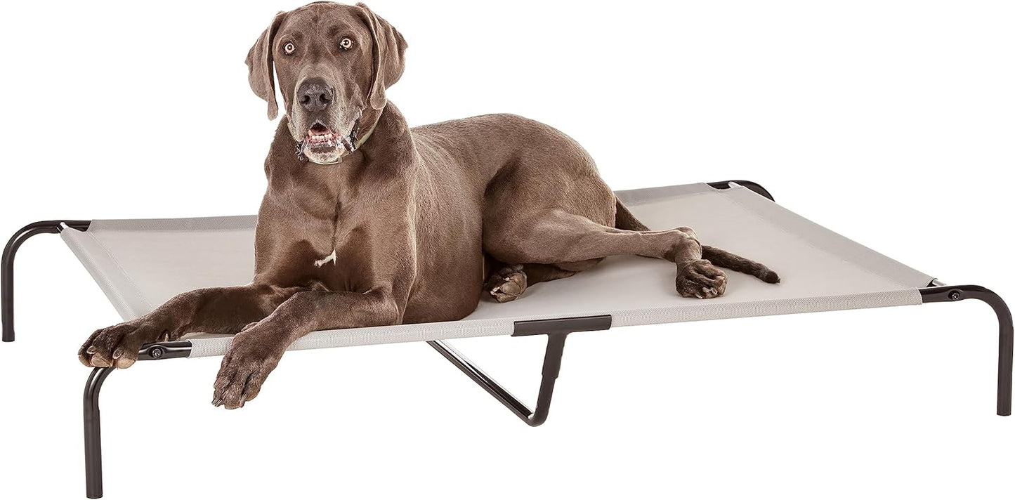 Cama Elevada Refrescante para Cães com Estrutura de Metal