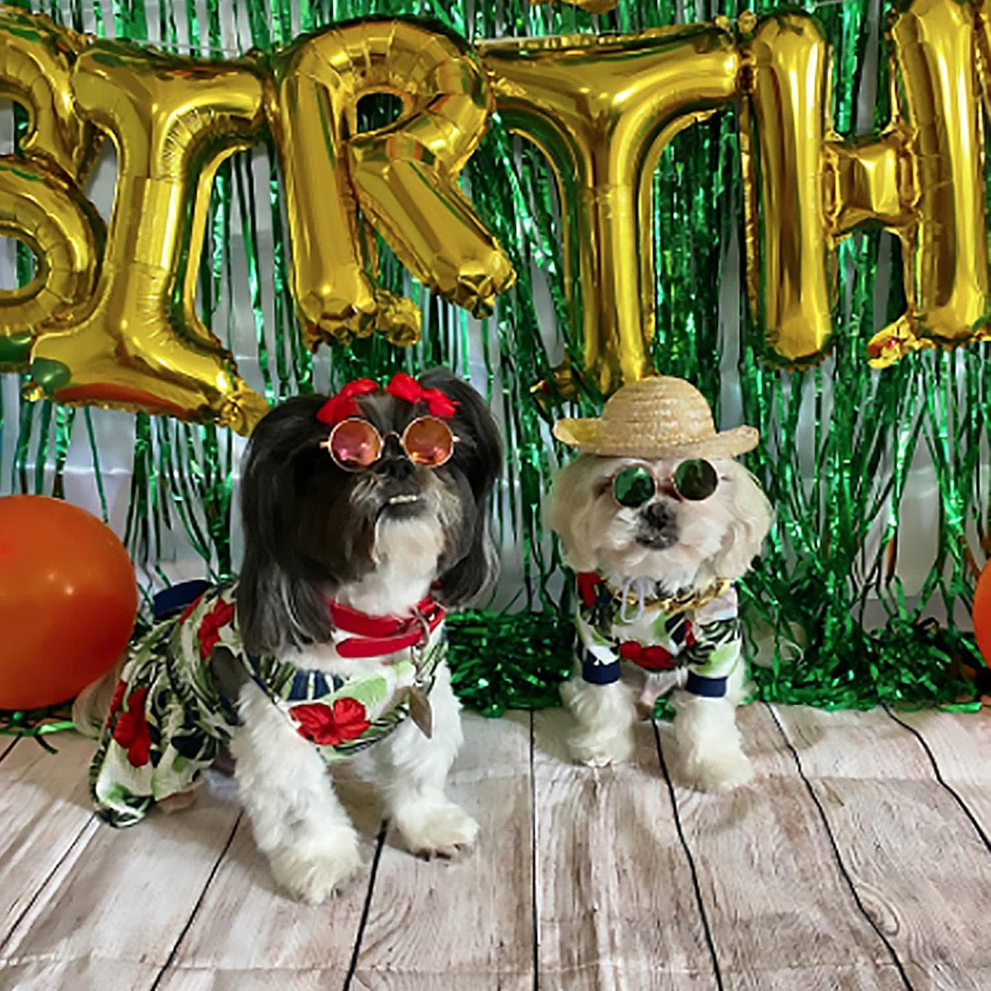 Conjunto Divertido para Pets: Acessórios com Óculos de Sol e Chapéu de Verão