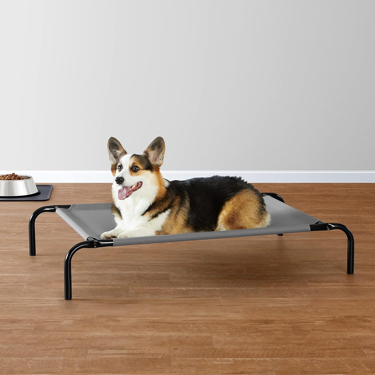 Cama Elevada Refrescante para Cães com Estrutura de Metal