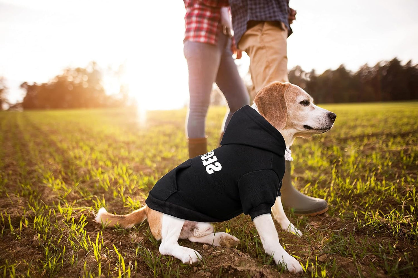 Moletom de Segurança com Capuz para Cães - Confortável e Quente - Com Bolso para Acessórios