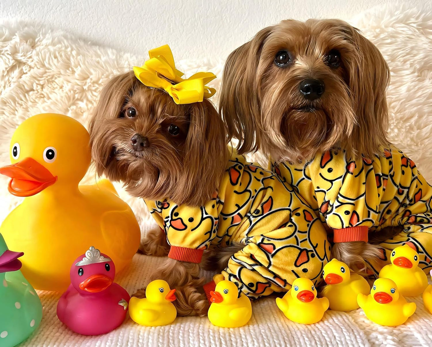 Pijama de Veludo para Cachorros e Gatos - Design de Tubarão, Confortável e Leve, Tamanhos Pequenos