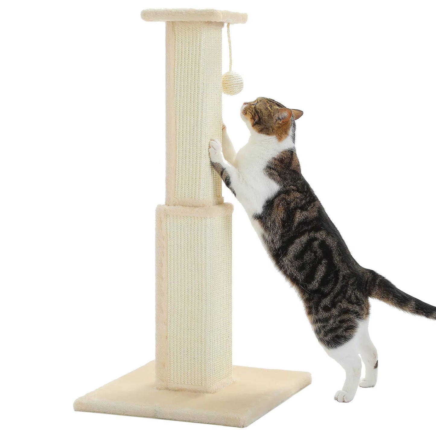 Torre Arranhadora para Gatos: Conforto e Entretenimento