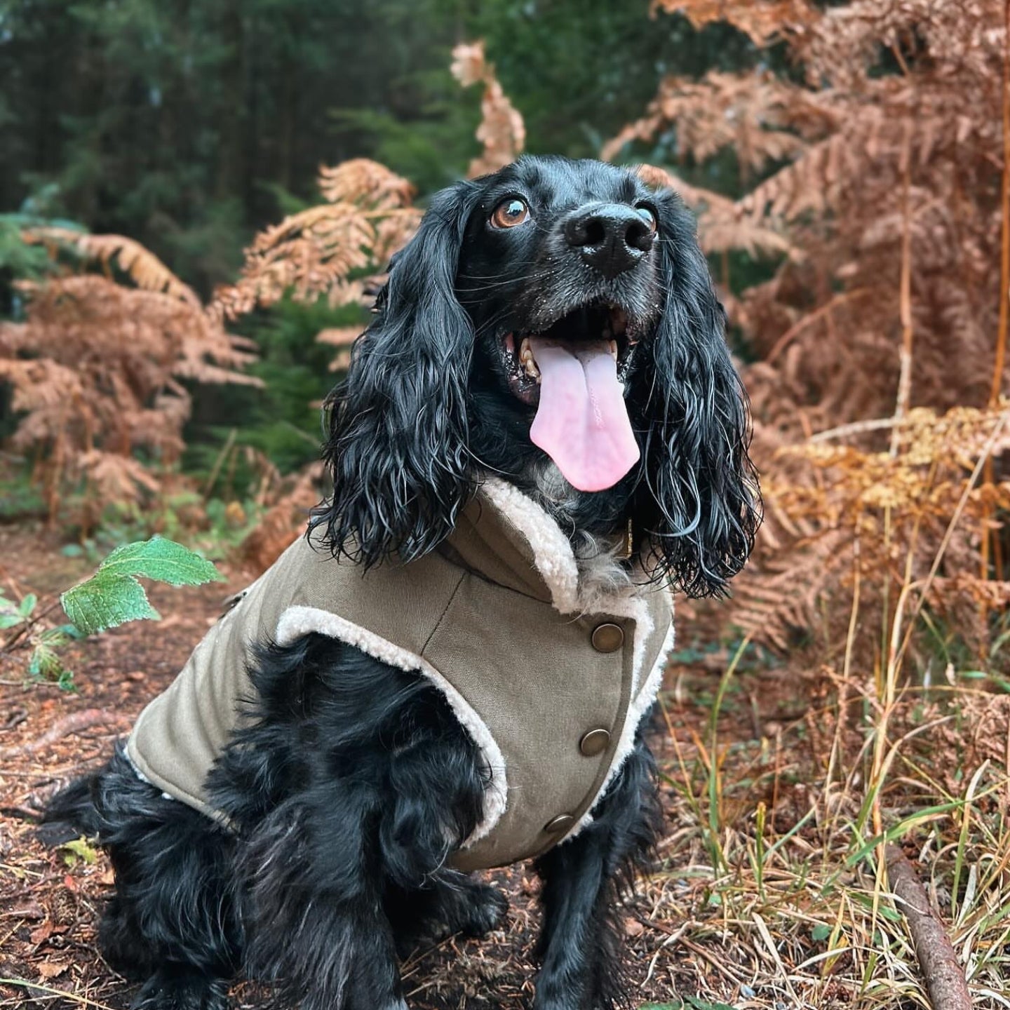 Jaqueta Utilitária Isolada Workdog - Verde