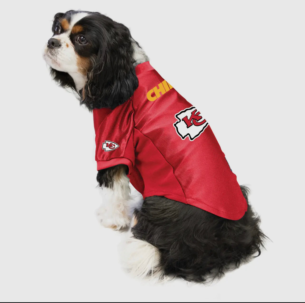 Jersey Elástico para Pets - Estilo e Conforto para Torcedores