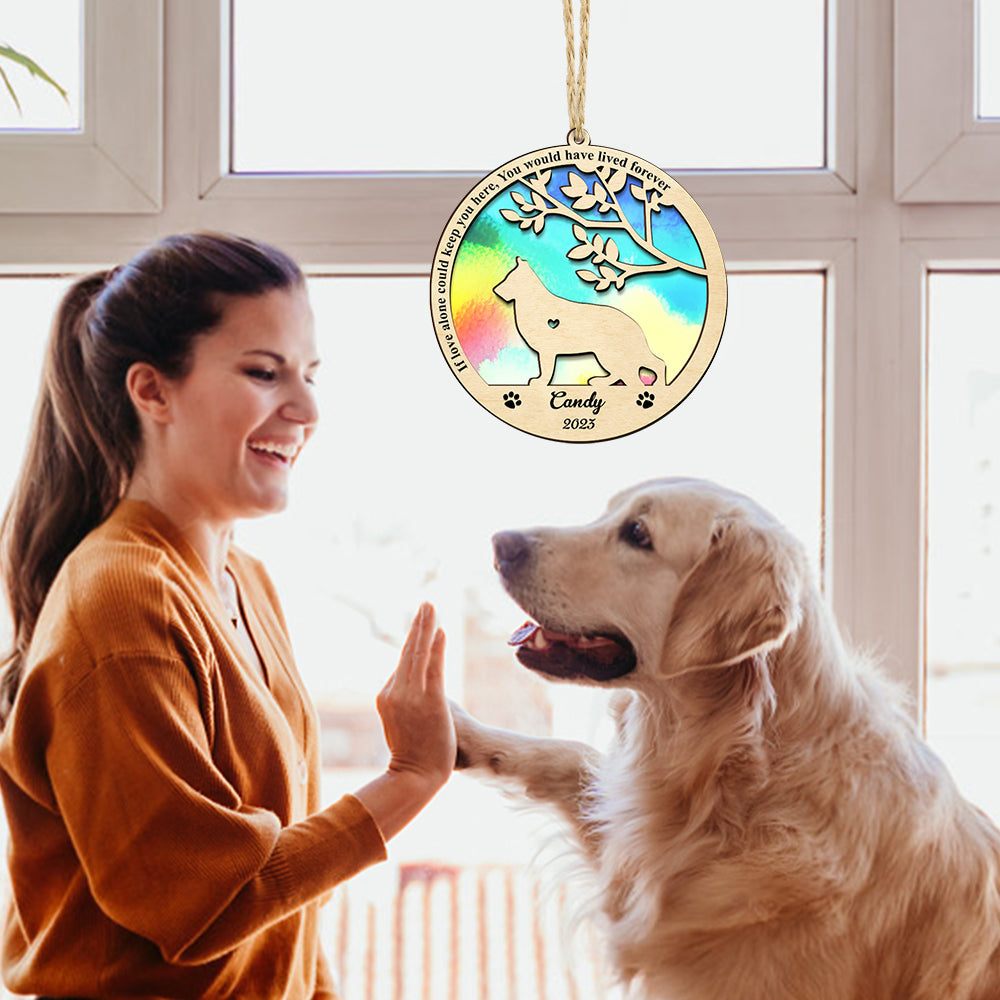 Solar Pendente Personalizado em Memória de Cachorro – Presente Comemorativo para Amantes de Animais