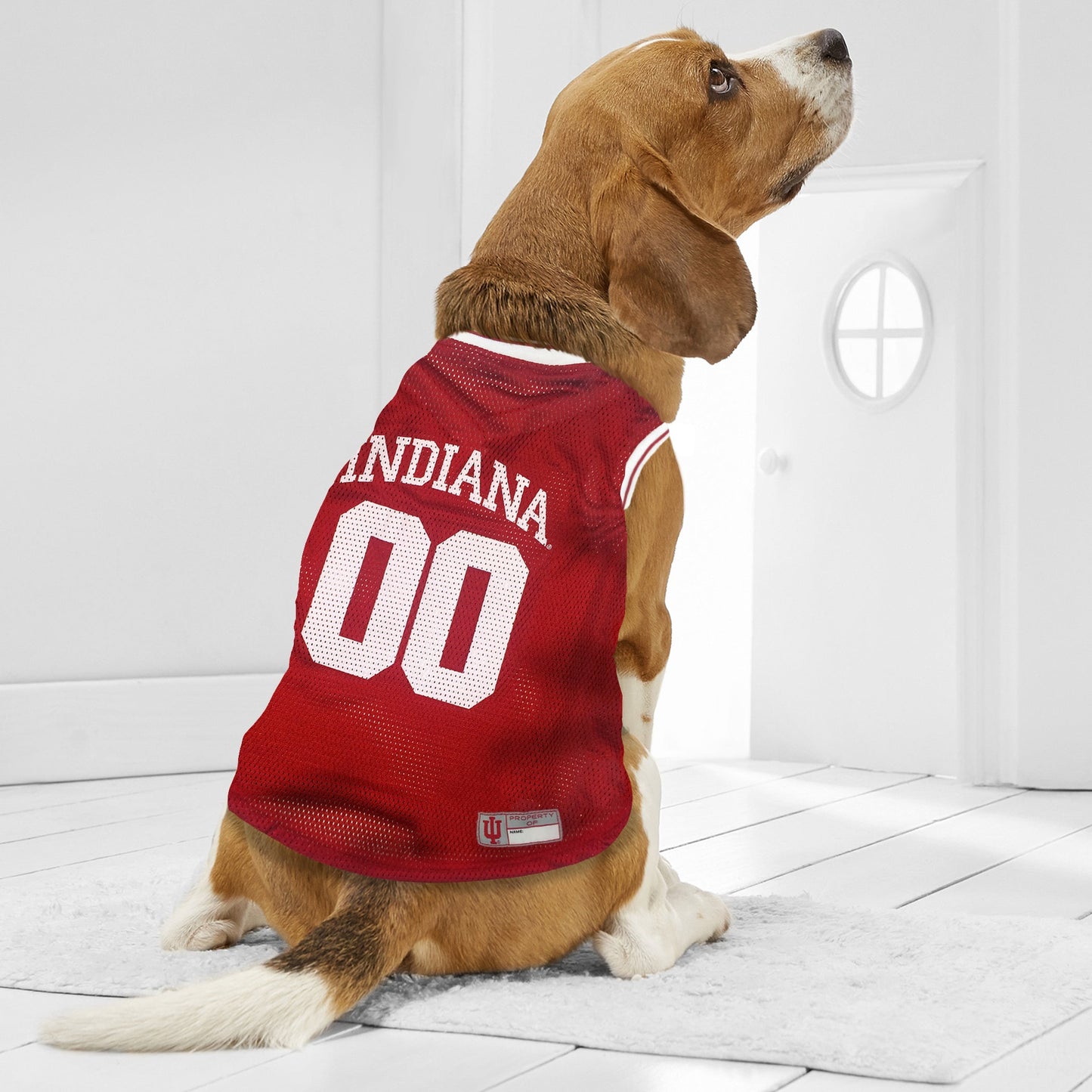 Jersey de Malha para Cachorros e Gatos - Estilo Universitário de Basquete