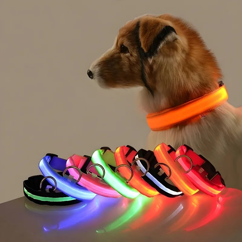 Colar de Nylon com LED para Cães - Segurança Noturna Brilhante e Fluorescente