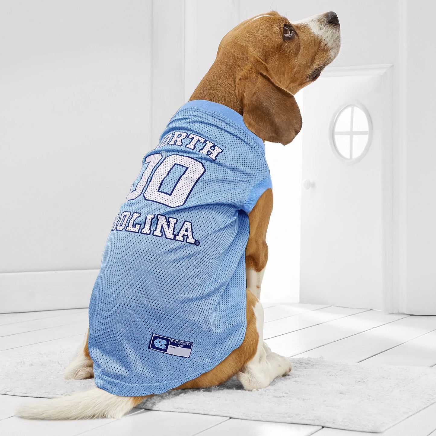 Jersey de Malha para Cães e Gatos - Estilo de Basquete Universitário