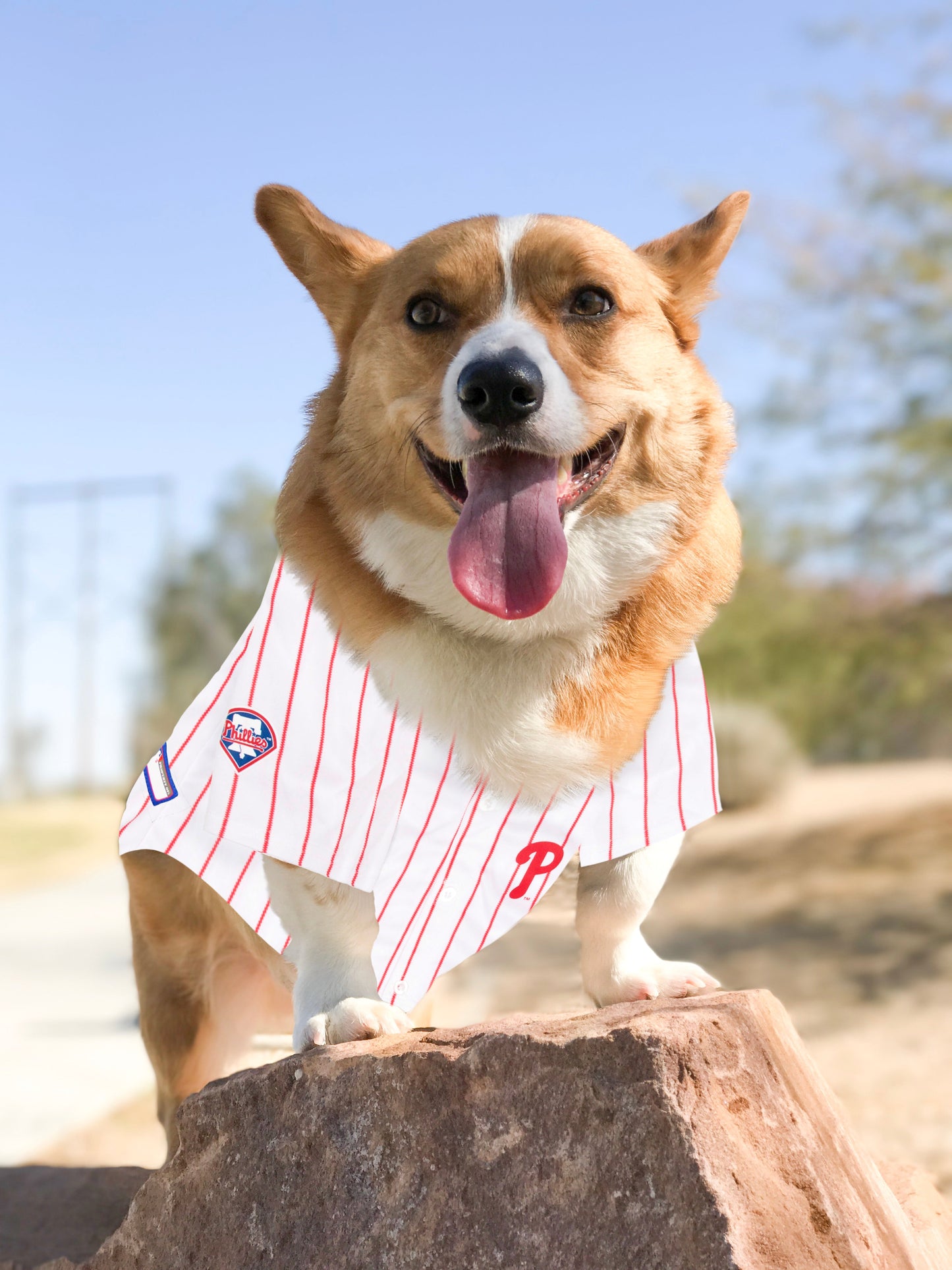 Camisa para Cachorro de Beisebol - Design Esportivo e Confortável