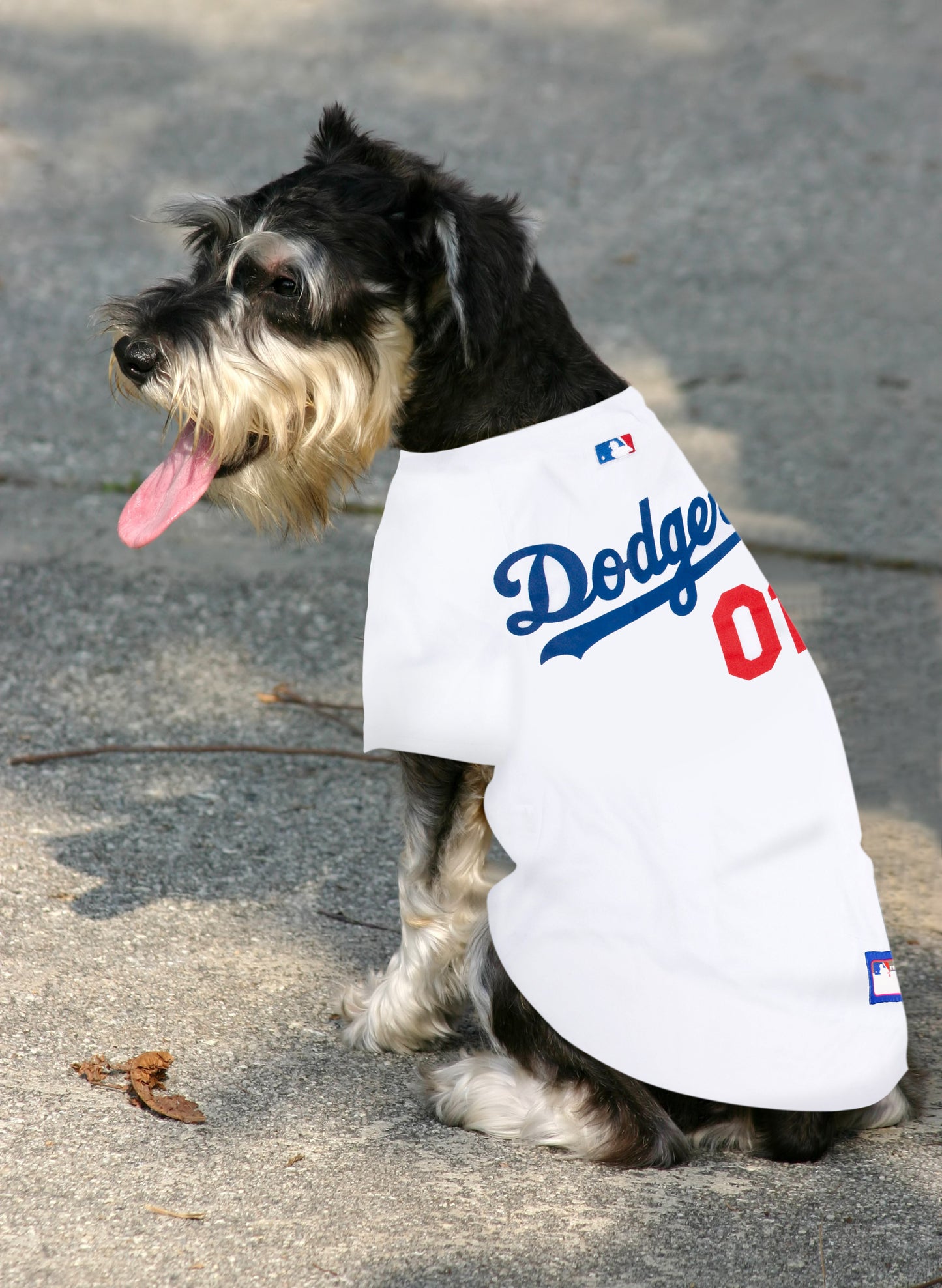 Camiseta para Cachorro de Time de Baseball