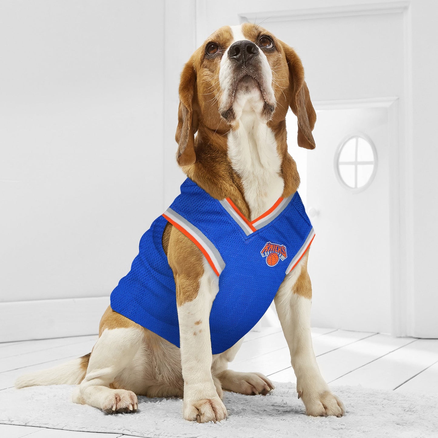 Camisa de Malha para Cães e Gatos - Basquete NY Knicks