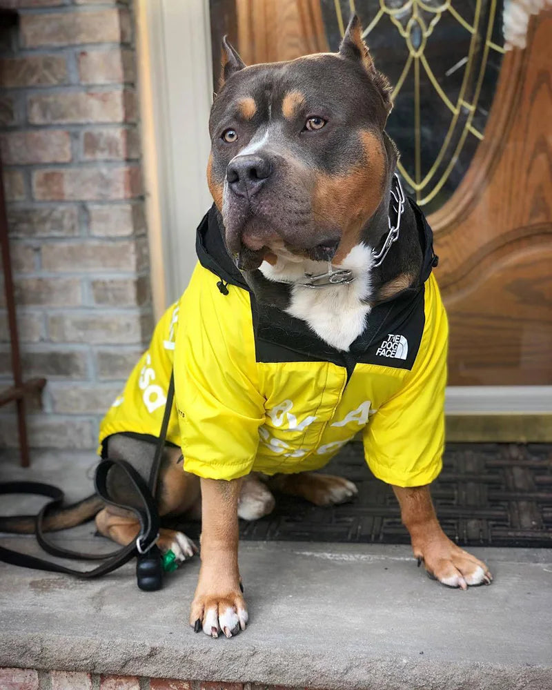 Moletom Confortável para Cães