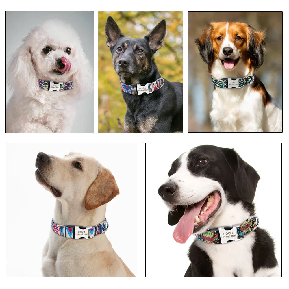 Colar Personalizado em Nylon para Cachorros com Tag de Identificação