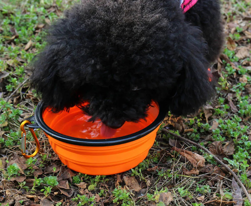 Desmontável: Tigela de Silício para Água e Ração de Cães - Portátil e Ideal para Camping