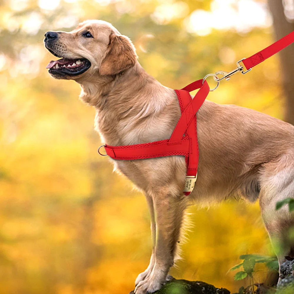 Cinto Anti-Puxão Personalizado para Cães - Colete Ajustável para Caminhadas e Treinamento