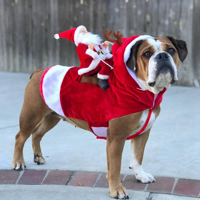 Roupa de Natal Divertida para Cachorro - Papai Noel