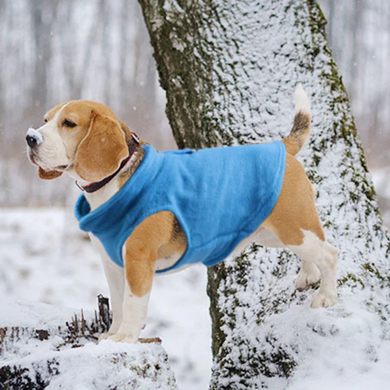 Roupas de Inverno para Cães Pequenos - Casaco Fleece Confortável para Buldogue Francês e Pugs