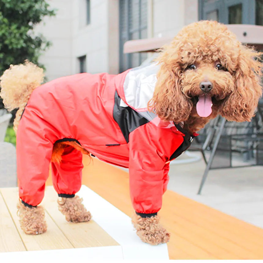 Capuz Impermeável e Macacão para Cachorros - Proteção e Conforto