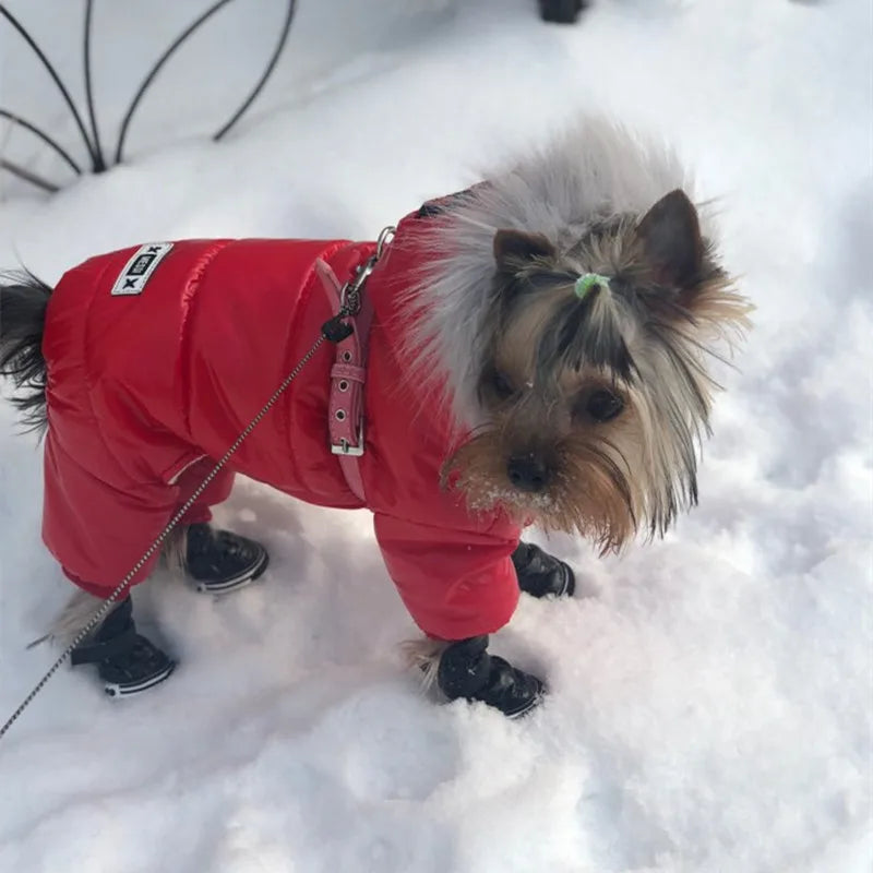 Roupa Quente para Cães: Casaco de Pelúcia Para Inverno para Cachorros