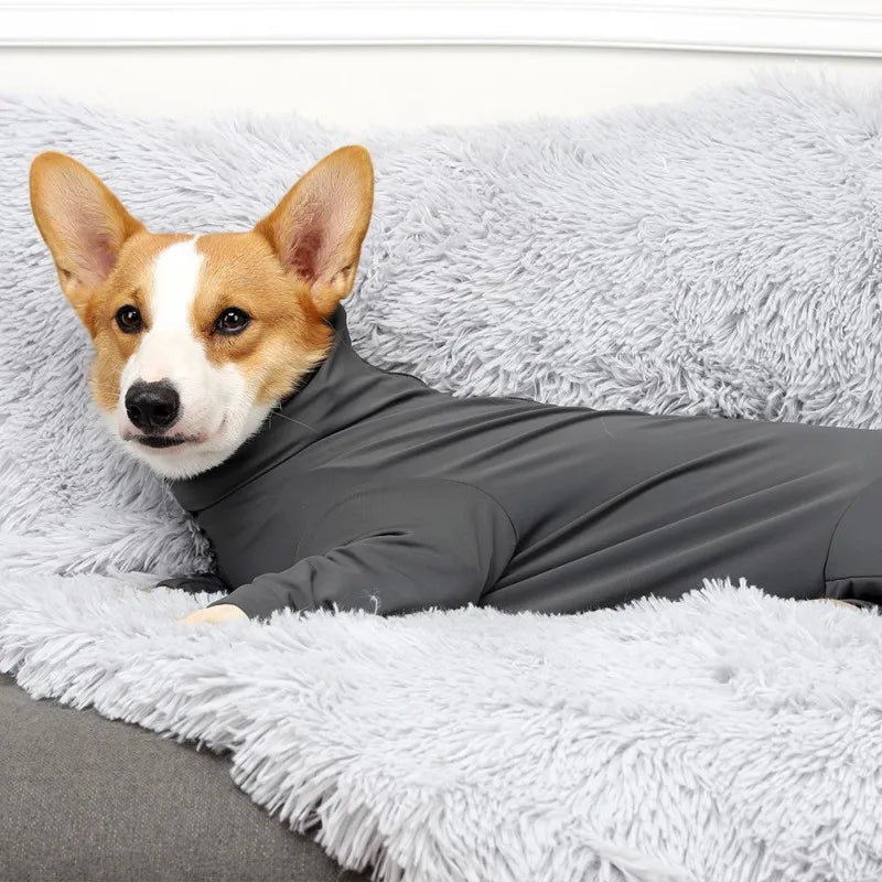 Pijamas Confortáveis para Cães