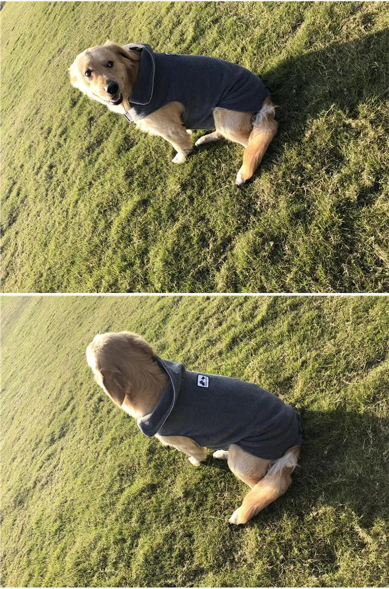 Jaqueta Refletiva para Cães Grandes - Segurança e Conforto