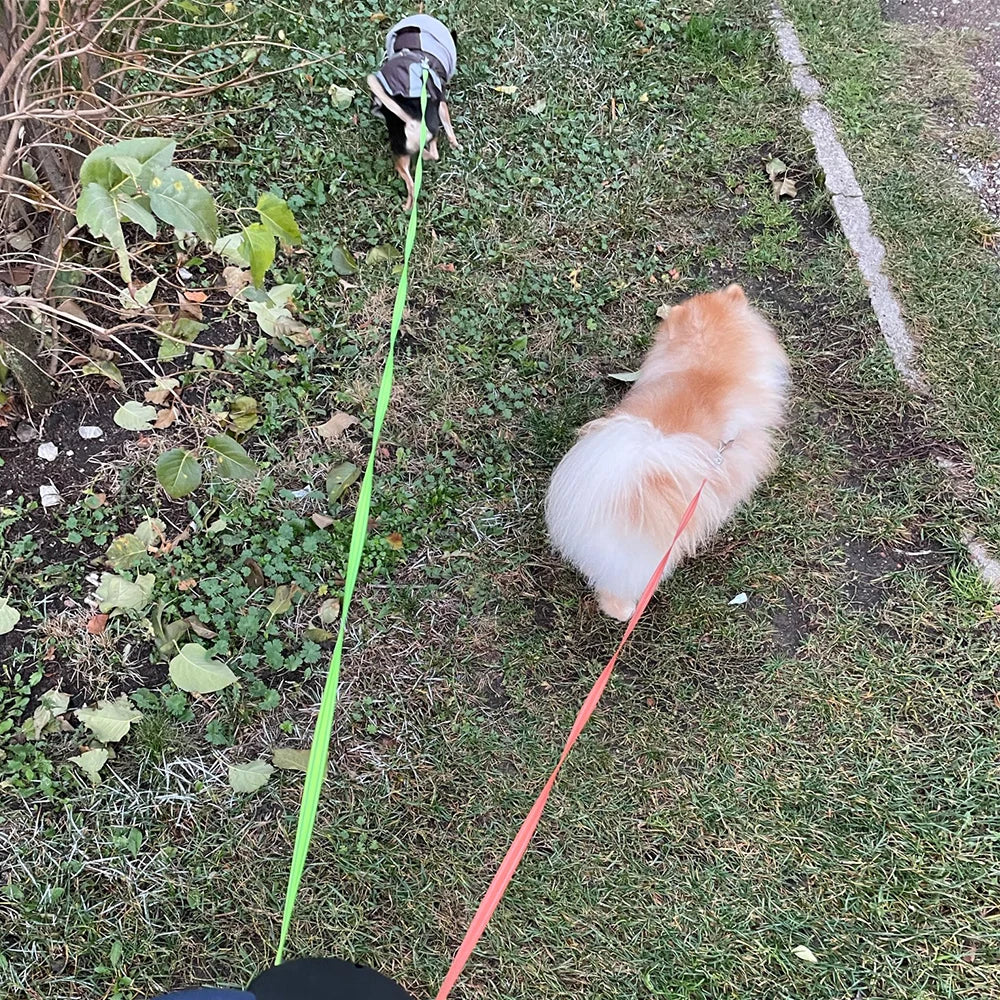 Corda Traction Retrátil Dupla com Lanterna e Porta Sacolas para Cães