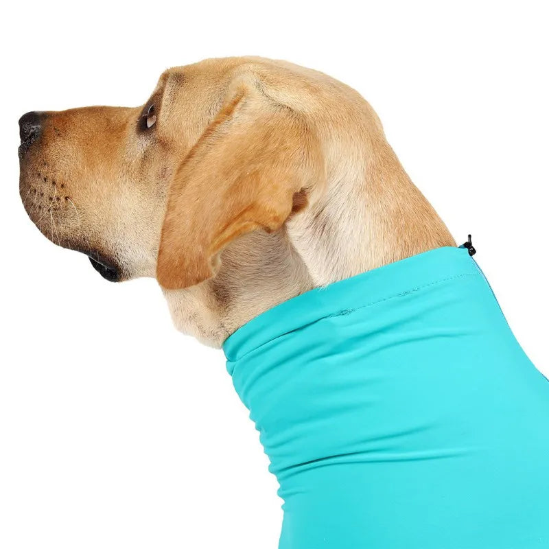 Pijamas Confortáveis para Cães