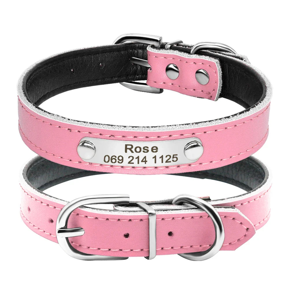 Collar Personalizado para Gatos e Pequenos Pets com Gravação Gratuita - Ajustável e Exclusivo