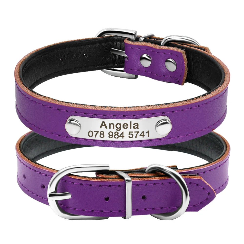 Collar Personalizado para Gatos e Pequenos Pets com Gravação Gratuita - Ajustável e Exclusivo