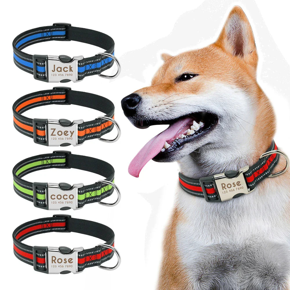 Collar Personalizado para Cães com Identificação e Reflectividade - Para Todos os Tamanhos