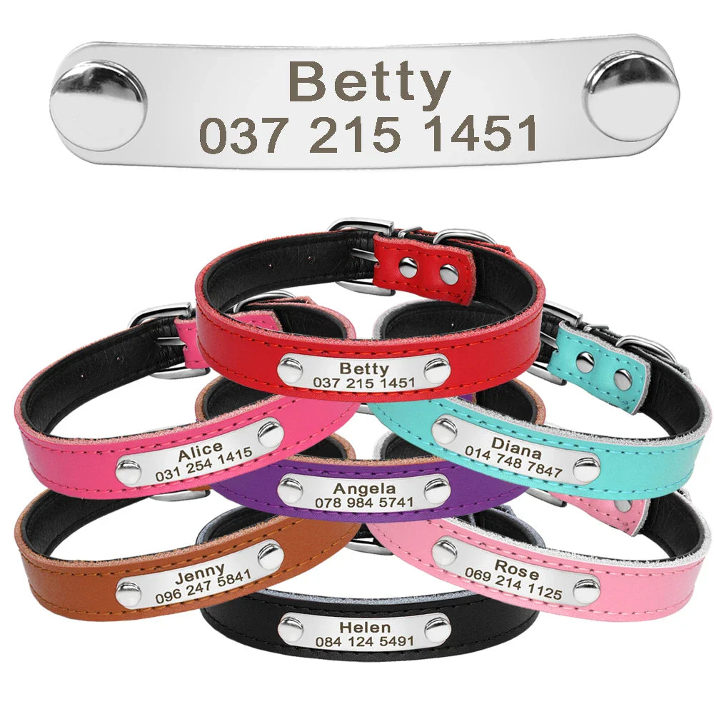 Collar Personalizado para Gatos e Pequenos Pets com Gravação Gratuita - Ajustável e Exclusivo