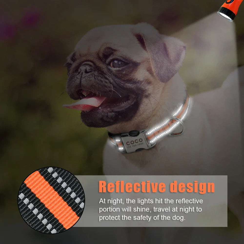 Collar Personalizado para Cães com Identificação e Reflectividade - Para Todos os Tamanhos