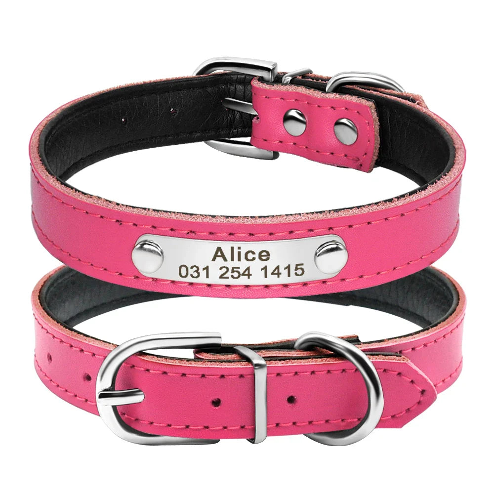 Collar Personalizado para Gatos e Pequenos Pets com Gravação Gratuita - Ajustável e Exclusivo