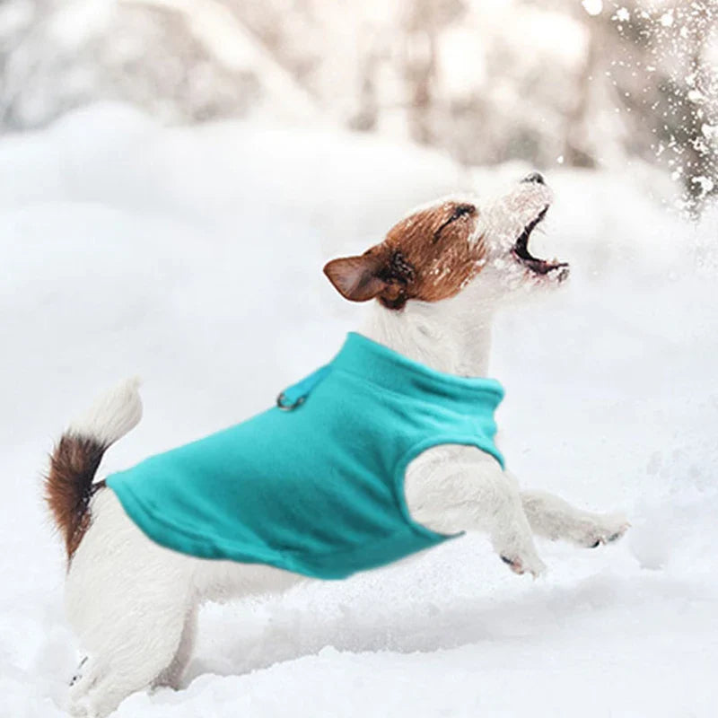 Roupas de Inverno para Cães Pequenos - Casaco Fleece Confortável para Buldogue Francês e Pugs