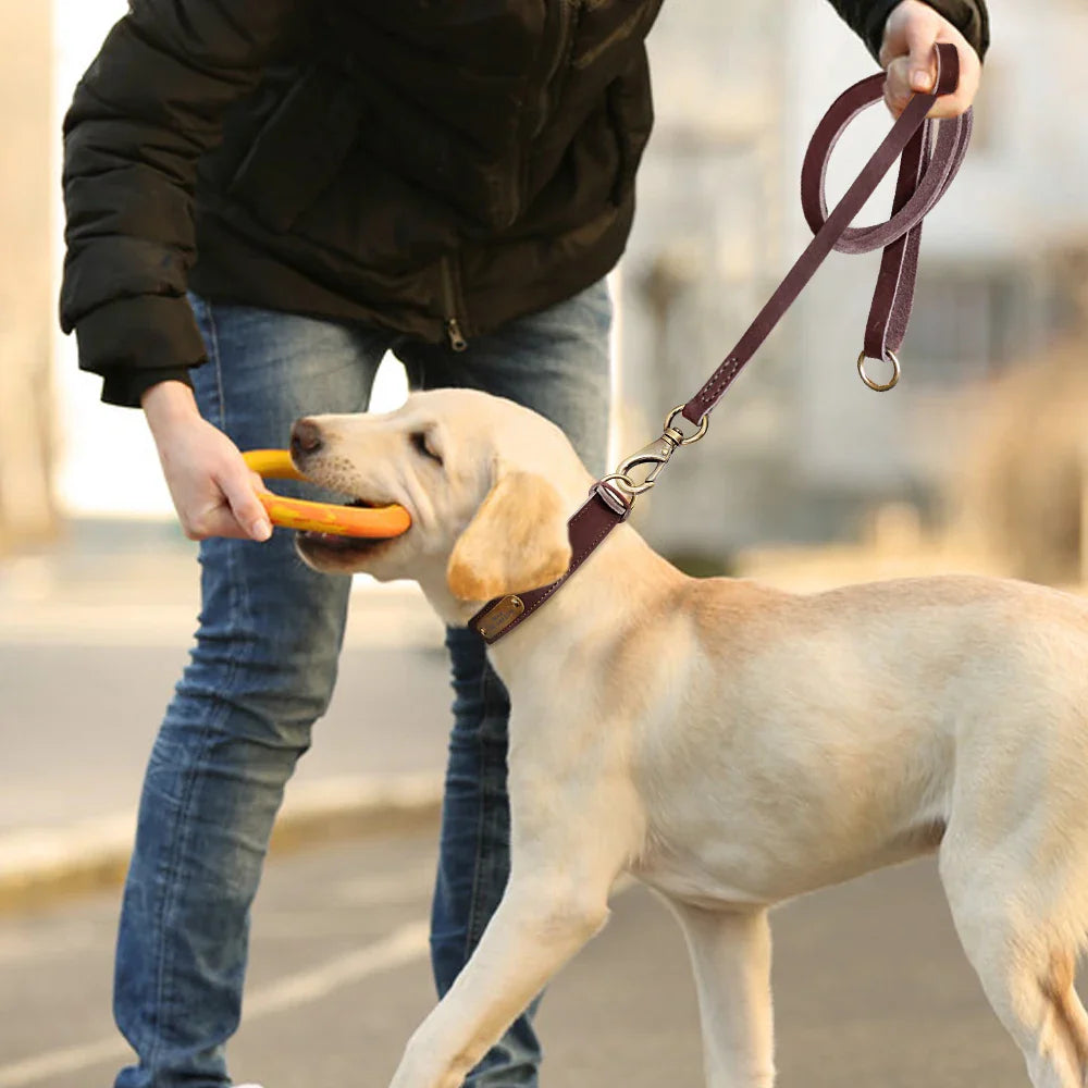 Conjunto Personalizado de Coleira e Guia de Couro para Cães com Placa de Nome Gravada