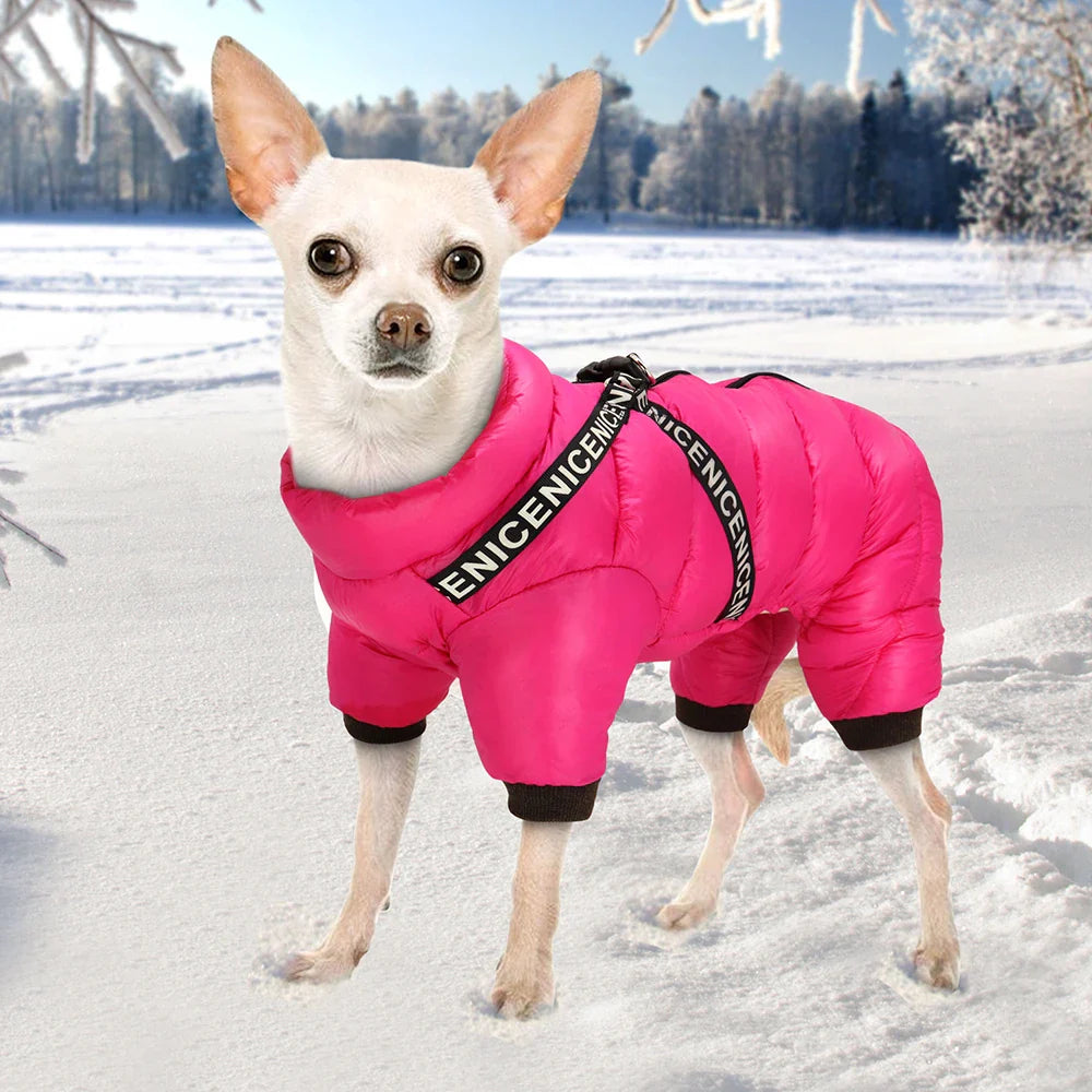 Jaqueta Térmica Impermeável para Cachorros - Roupa Quente para Cães de Todos os Tamanhos