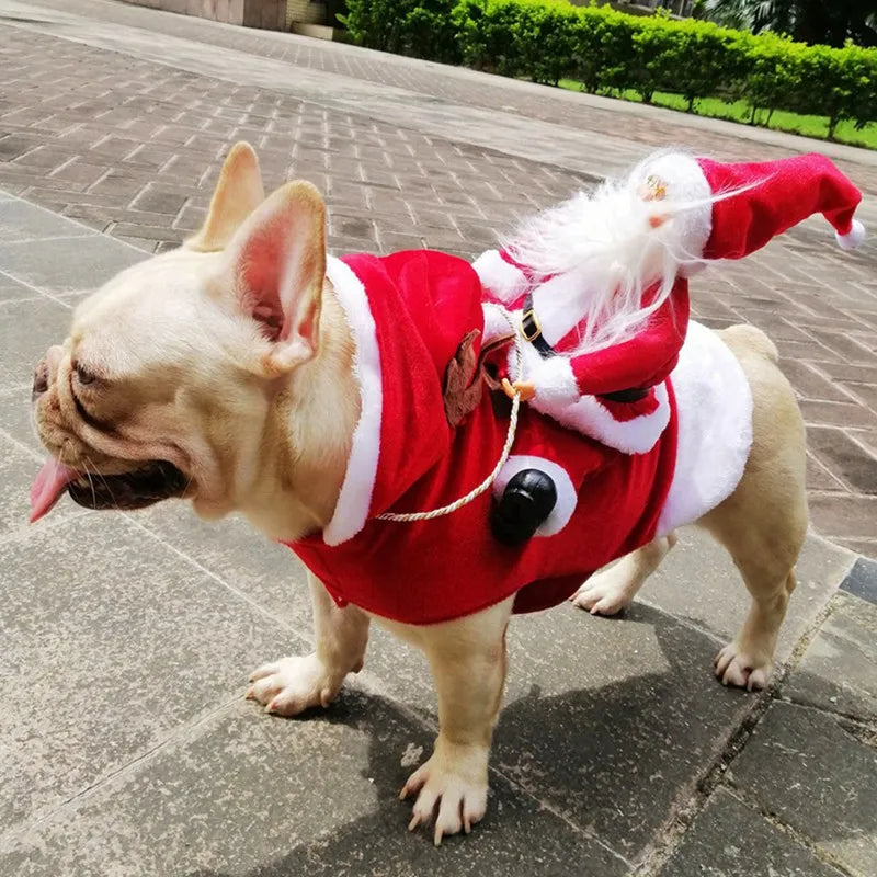 Roupa de Natal Divertida para Cachorro - Papai Noel