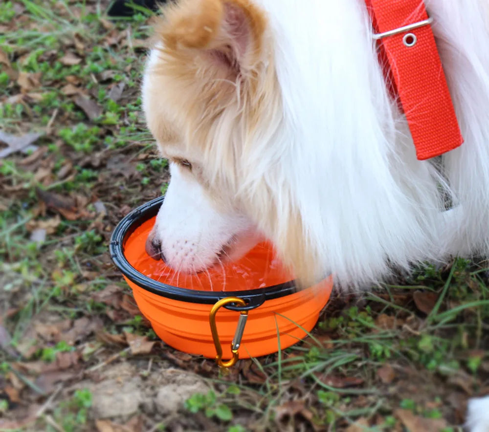 Desmontável: Tigela de Silício para Água e Ração de Cães - Portátil e Ideal para Camping