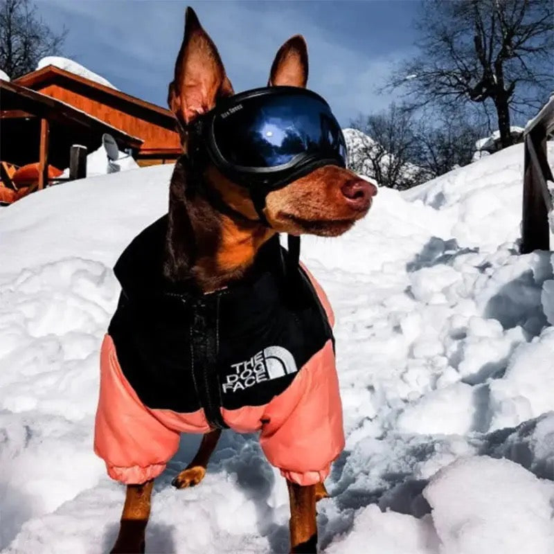 Jaqueta Puffer Aquecida para Cães - Conforto e Estilo