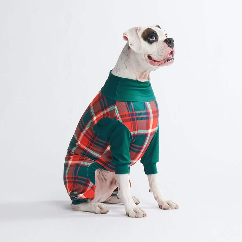 Pijamas de Natal para Cachorros