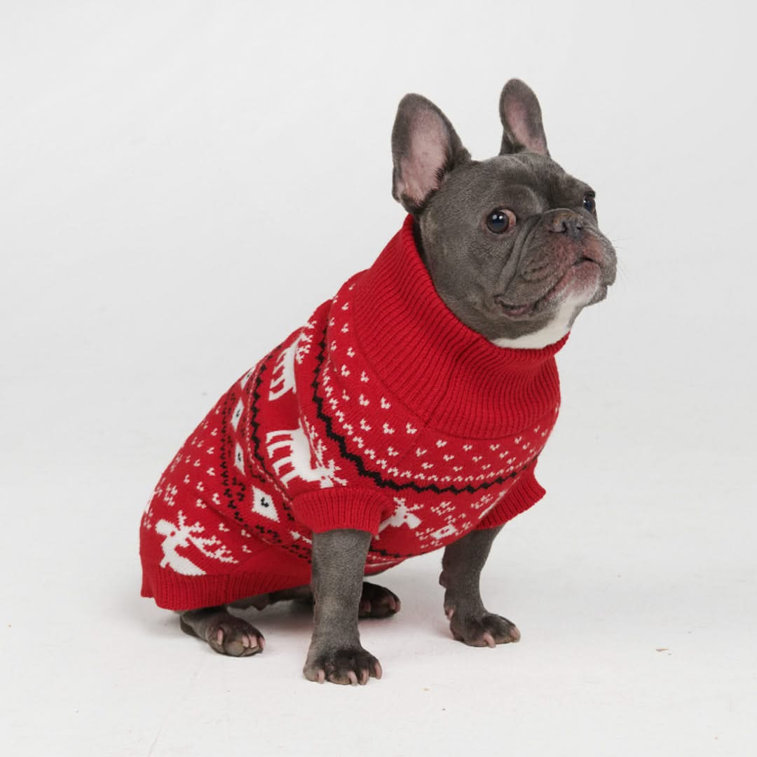 Suéter Tricotado de Natal para Cachorro - Vermelho Dasher