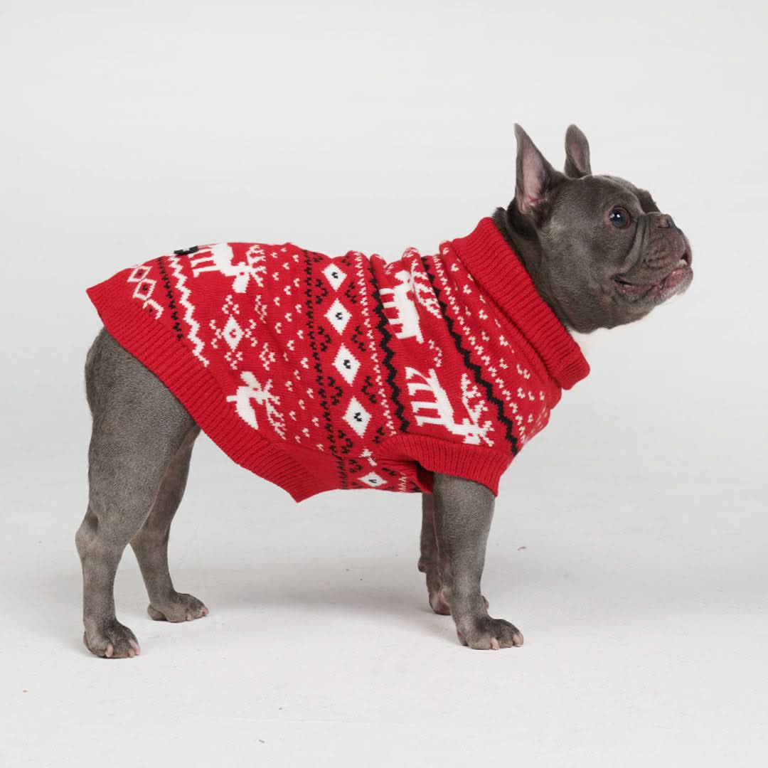 Suéter Tricotado de Natal para Cachorro - Vermelho Dasher