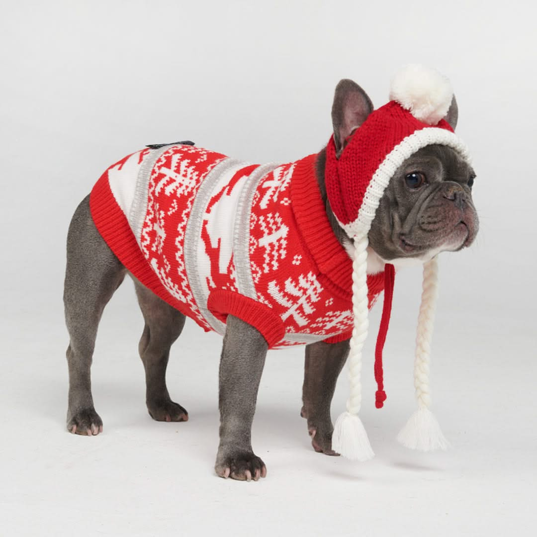 Suéter Tricotado de Natal para Cachorro - Paisagem Invernal